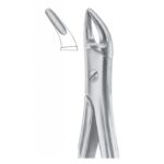 Extracting Forceps "With Fitting Handle" 1195