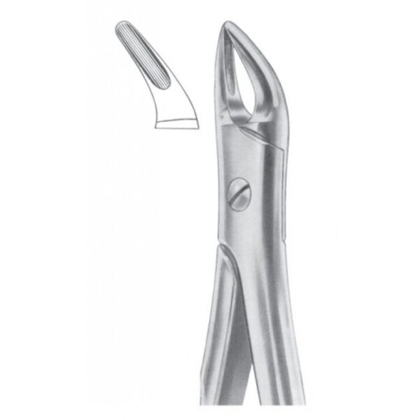 Extracting Forceps "With Fitting Handle" 1195
