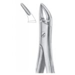 Extracting Forceps "With Fitting Handle" 1196