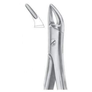 Extracting Forceps "With Fitting Handle" 1196