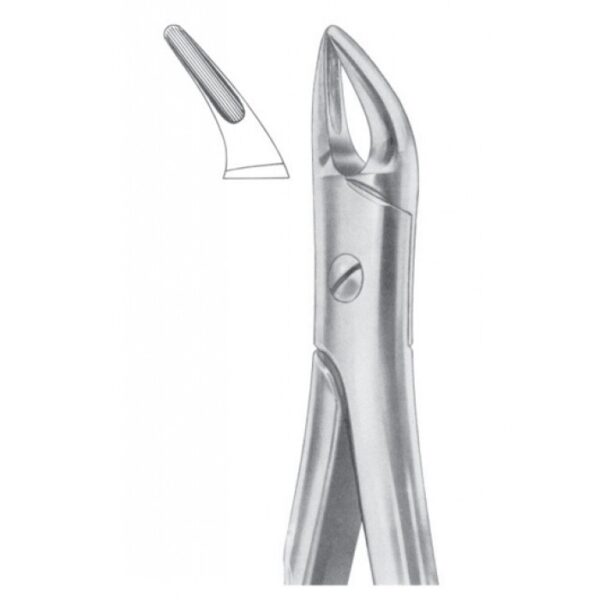 Extracting Forceps "With Fitting Handle" 1196