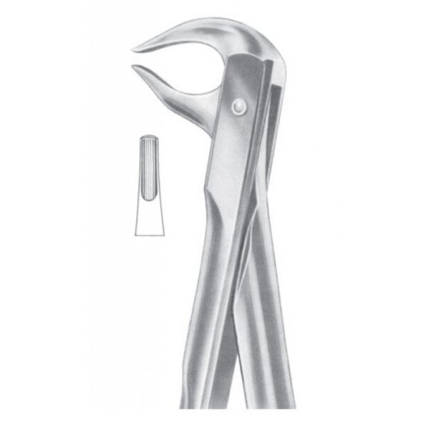 Extracting Forceps "With Fitting Handle" 1197