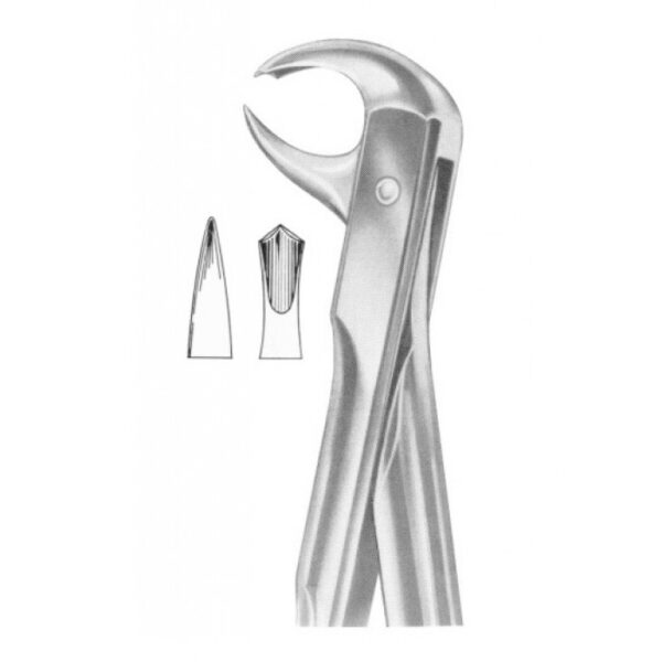 Extracting Forceps "With Fitting Handle" 1204