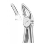 Extracting Forceps "With Fitting Handle" 1205