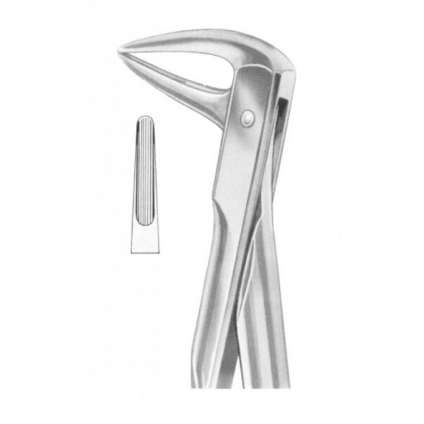 Extracting Forceps "With Fitting Handle" 1206