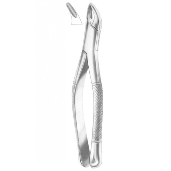 Extracting Forceps American pattern 1228