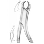 EXTRACTING FORCEPS AMERICAN PATTERN 1236