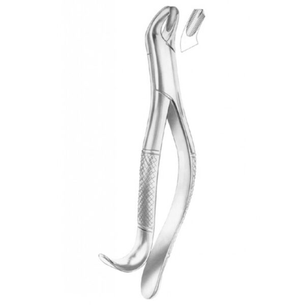 EXTRACTING FORCEPS AMERICAN PATTERN 1237
