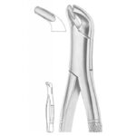 EXTRACTING FORCEPS AMERICAN PATTERN 1244