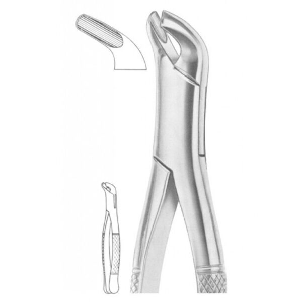 EXTRACTING FORCEPS AMERICAN PATTERN 1244