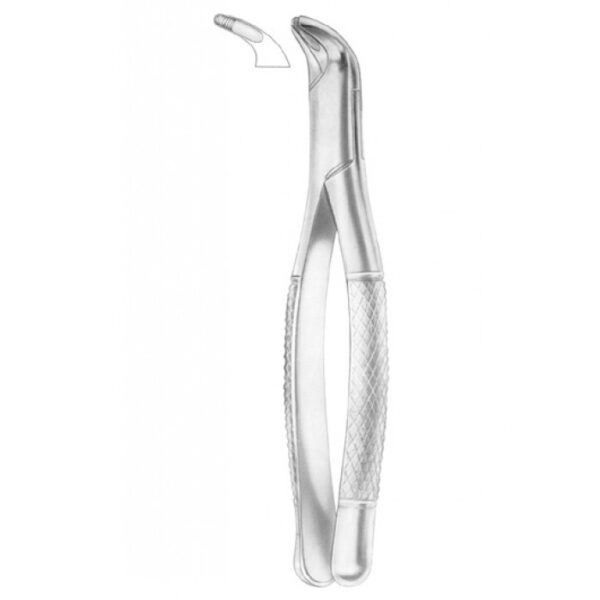 EXTRACTING FORCEPS AMERICAN PATTERN 1245