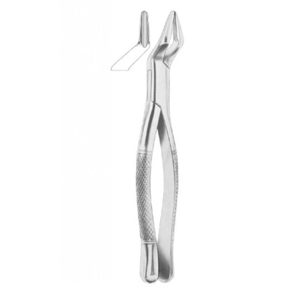 EXTRACTING FORCEPS AMERICAN PATTERN 1247