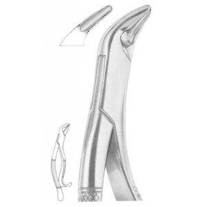EXTRACTING FORCEPS AMERICAN PATTERN 1261