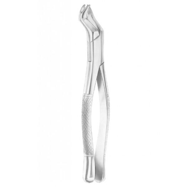 EXTRACTING FORCEPS AMERICAN PATTERN 1262