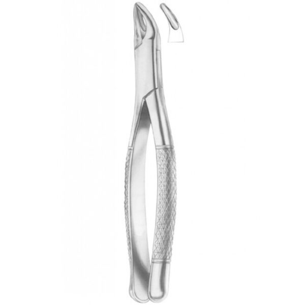 EXTRACTING FORCEPS AMERICAN PATTERN EXTRACTING FORCEPS AMERICAN PATTERN 1266