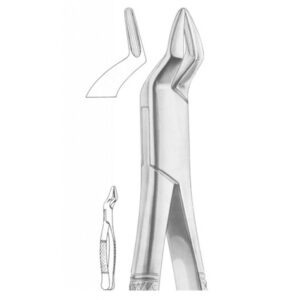 EXTRACTING FORCEPS AMERICAN PATTERN 1281