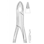 EXTRACTING FORCEPS AMERICAN PATTERN 1285