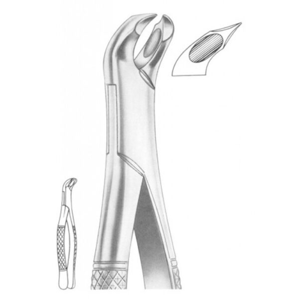 EXTRACTING FORCEPS AMERICAN PATTERN 1292